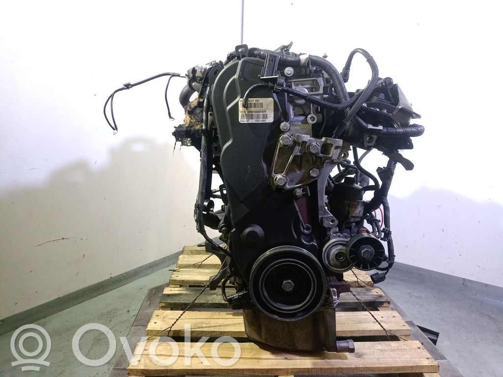 Moottori   G6DD,1343078,7L25825