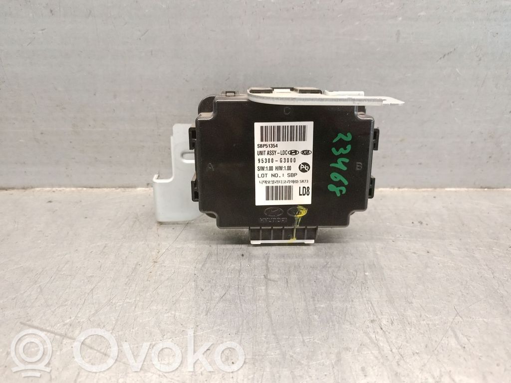 Inne komputery / moduły / sterowniki   95300G300