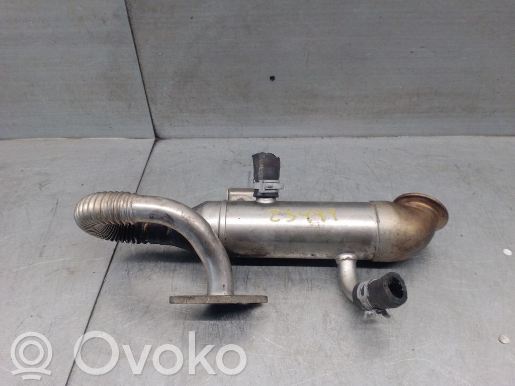 Ford Focus EGR aušintuvas 