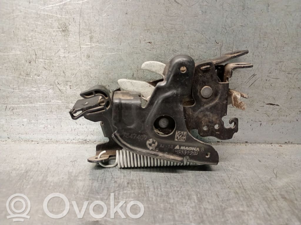 Tie down hook / loop   7347409,51237347409