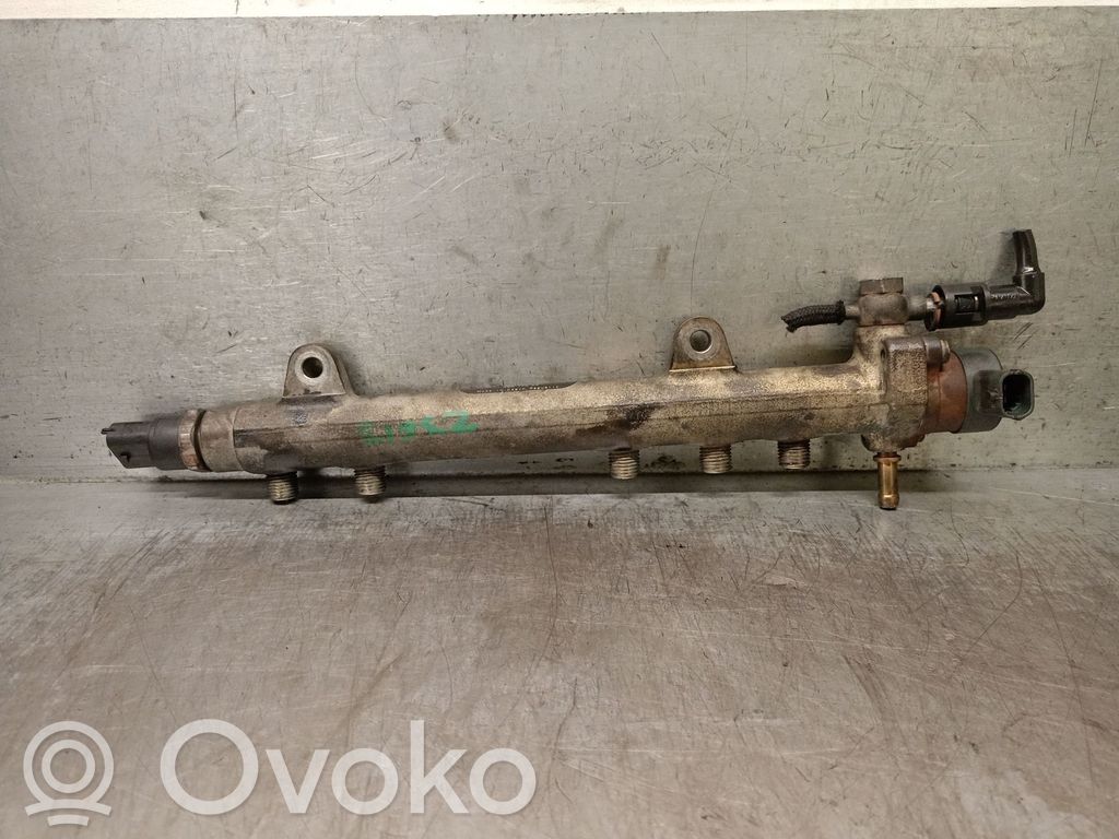 Monowtrysk   46817523,817305,0445214044BOSCH