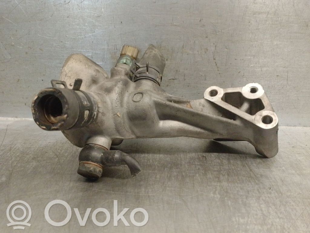 Termostato   255514X110,255514X110