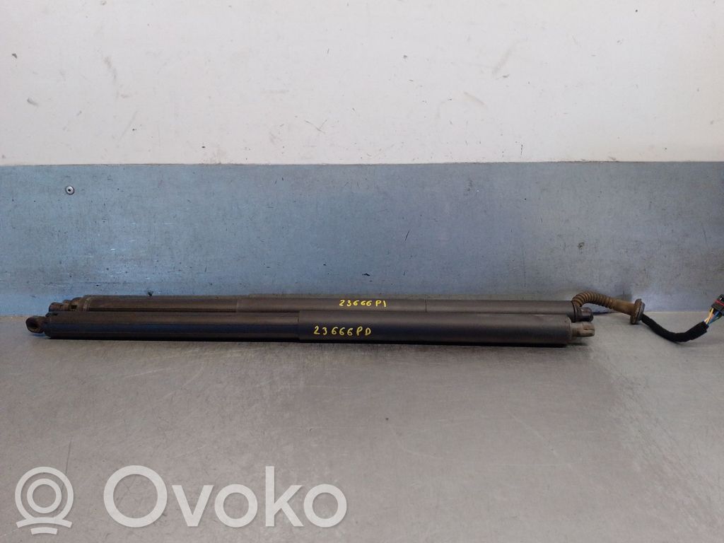 Cupra Formentor Tailgate/trunk strut/damper 