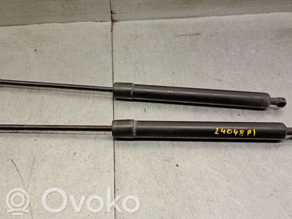Renault Modus Tailgate/trunk strut/damper 