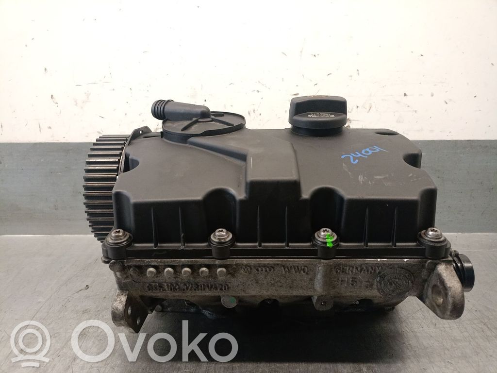 Seat Ibiza III (6L) Testata motore 