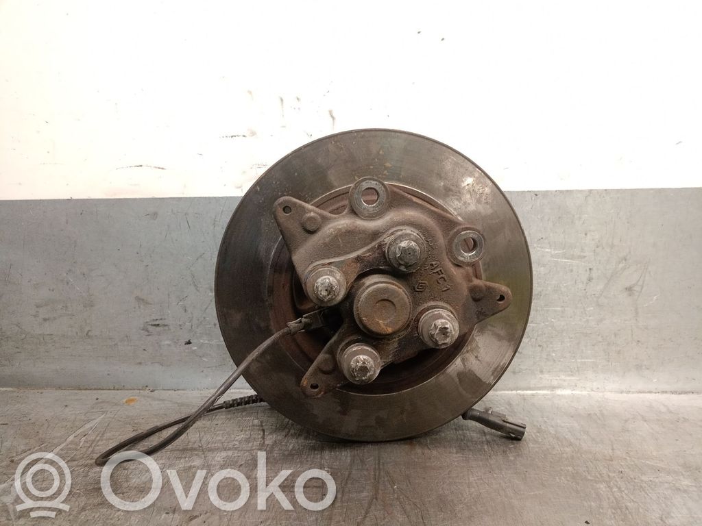 Renault Megane III Rear wheel hub spindle/knuckle 