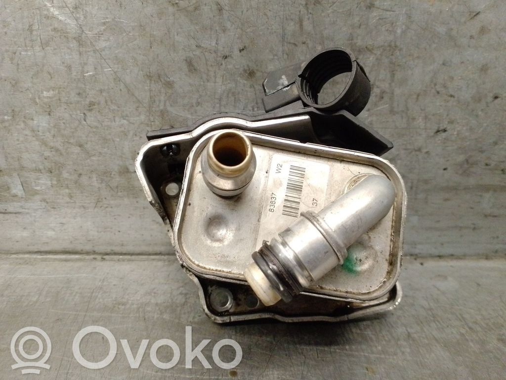 BMW 3 E46 Engine oil radiator 