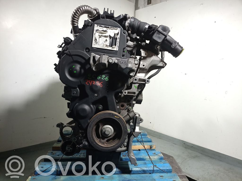 Motore   9H01,0135QE,10JBBN