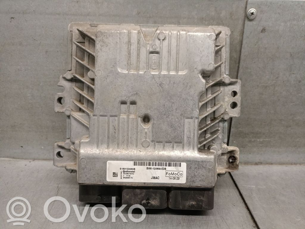 Ford Focus Engine control unit/module 