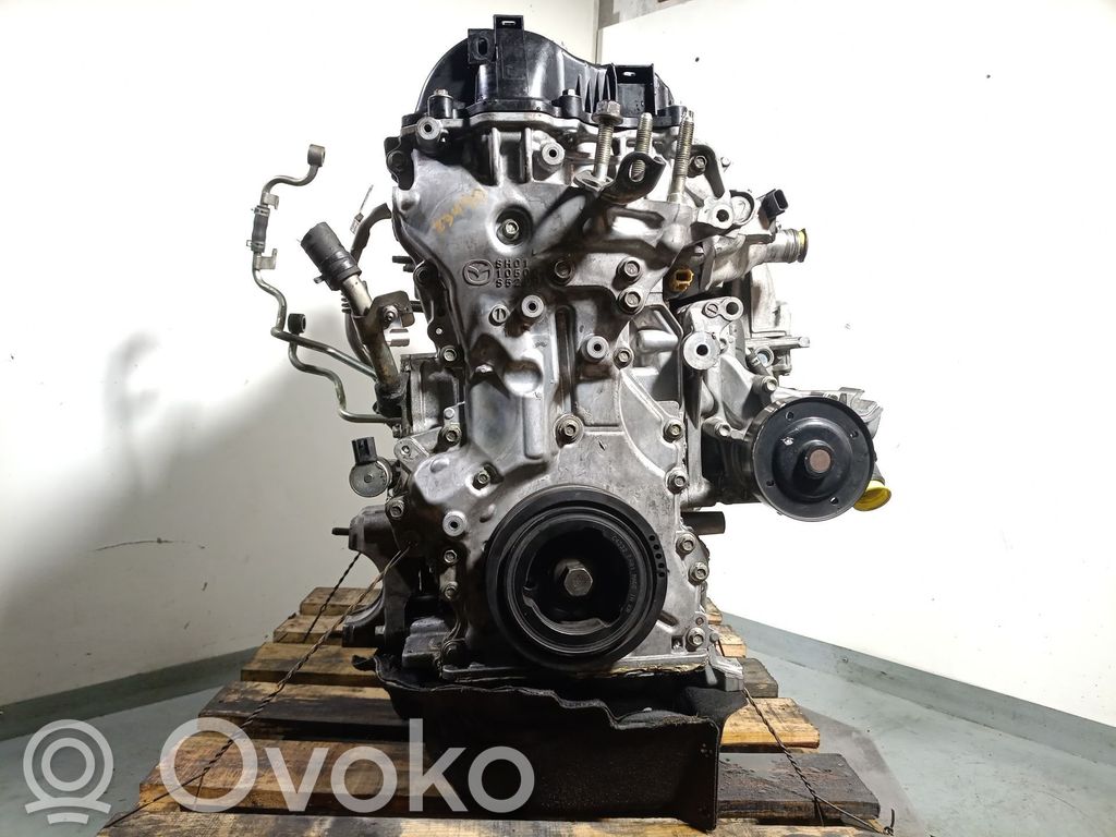 Variklis   SHY102300R,30255479