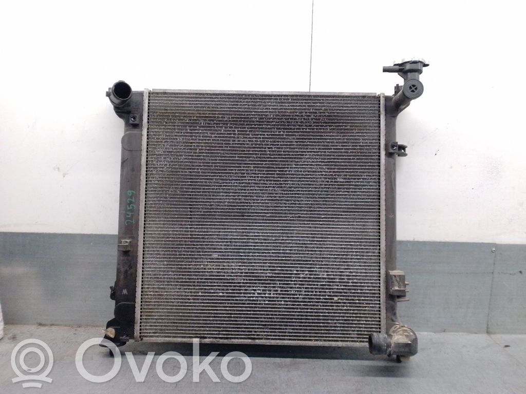 Radiateur de refroidissement   2230007653,25310D4350