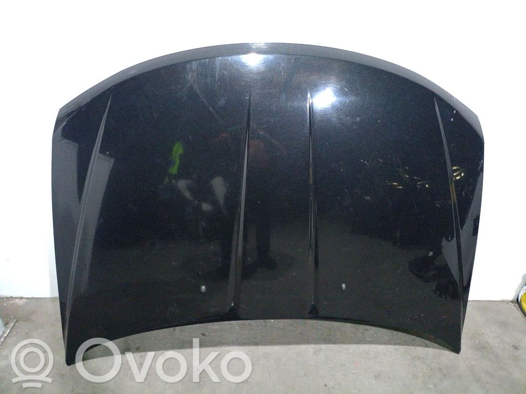 Dodge Journey Dzinēja pārsegs (vāks) 