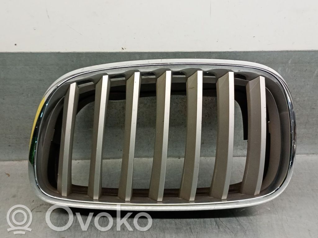 Kühlergrill   51137185223,51137185223