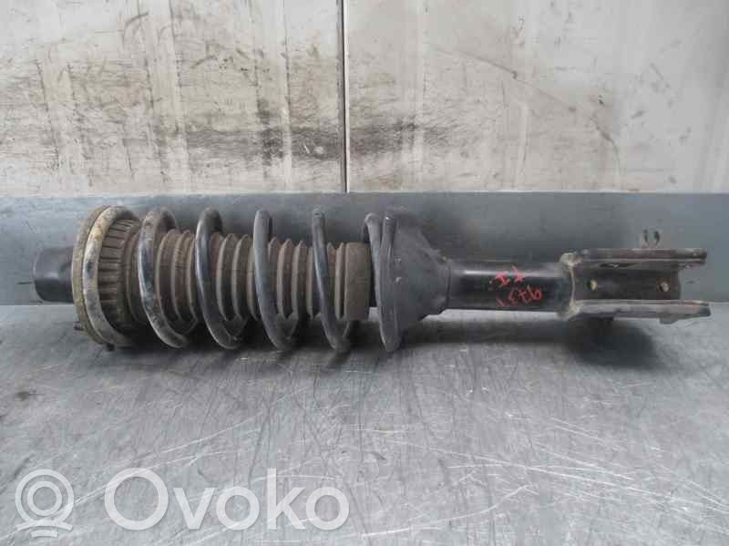 Land Rover Freelander Amortyzator tylny 