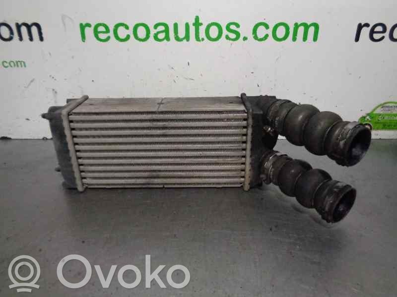 Peugeot 307 Intercooler radiator 