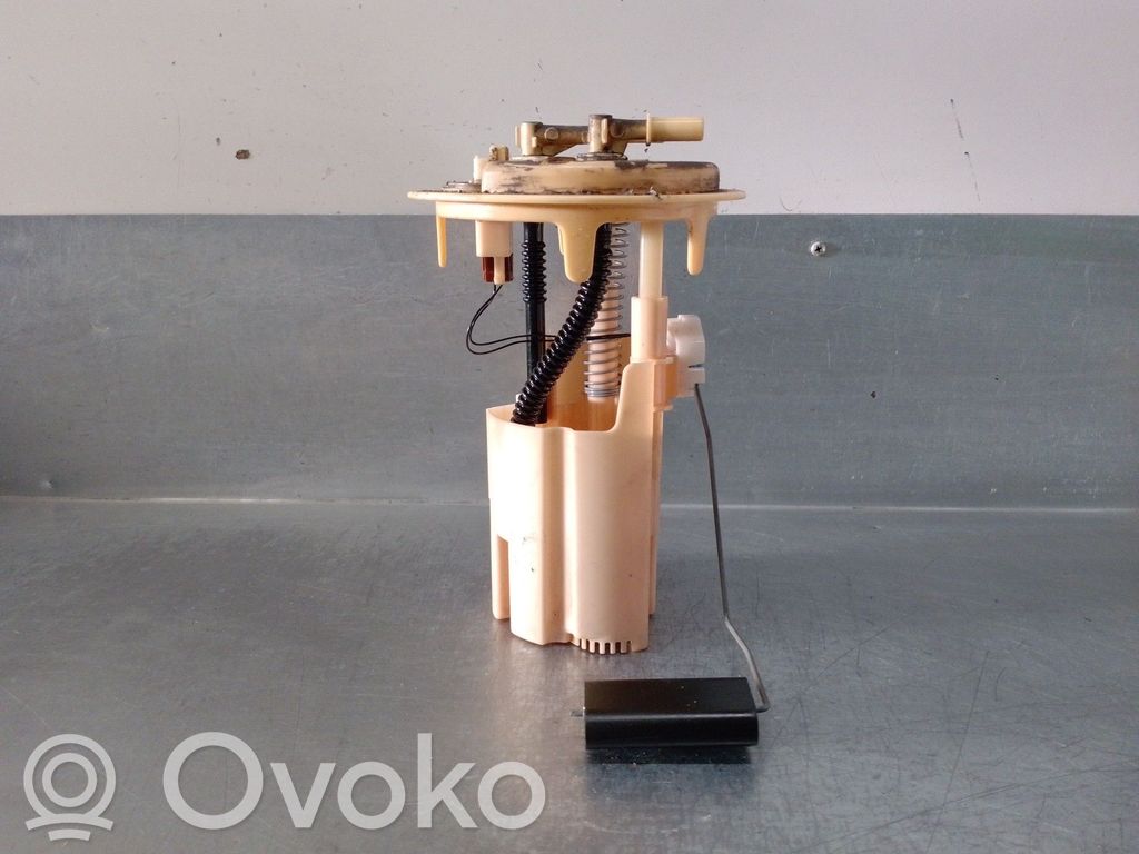Citroen C3 In-tank fuel pump 
