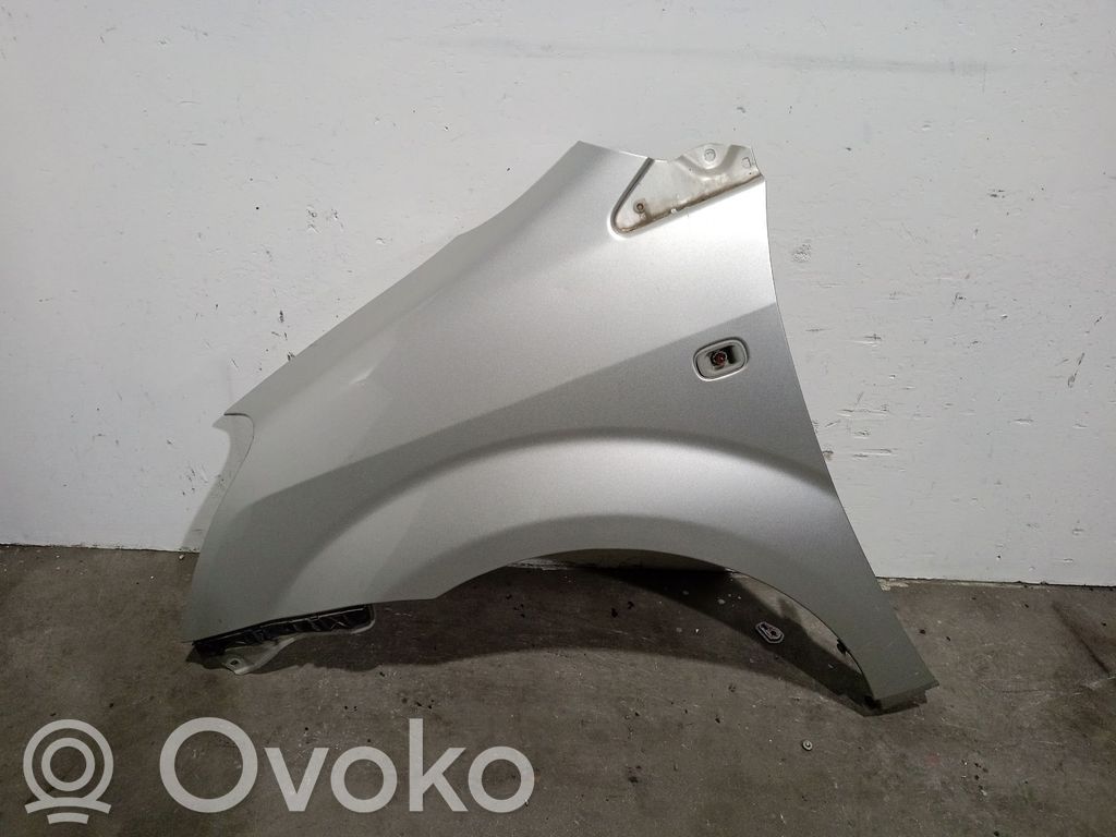 Guardabarro   538120F010,538120F010