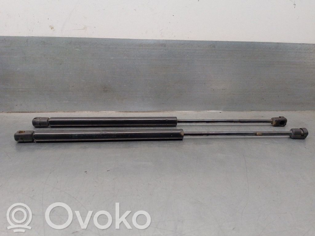 Ford Focus Tailgate/trunk strut/damper 