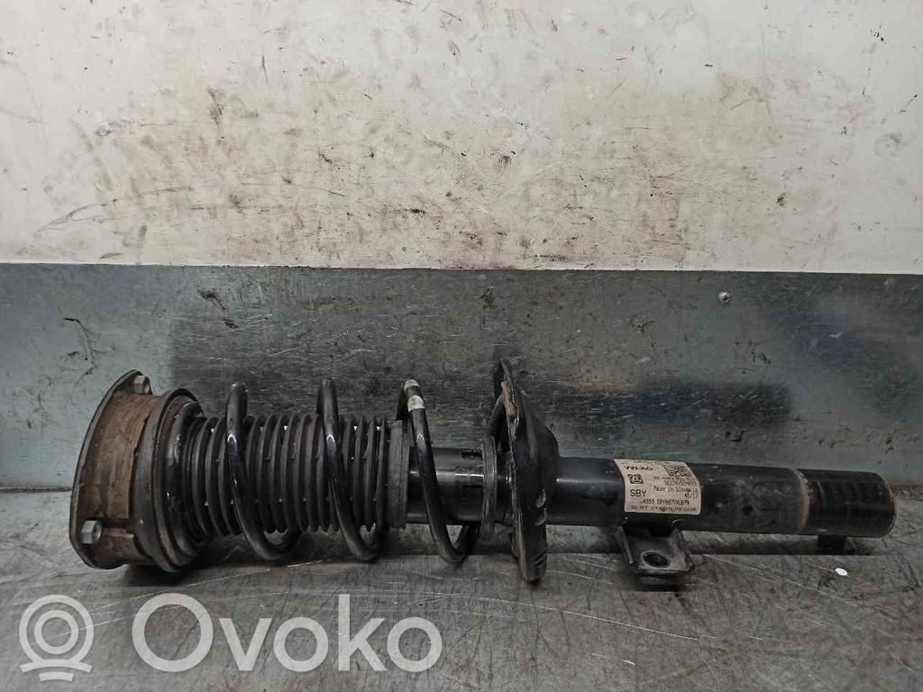Amortyzator osi przedniej ze sprężyną   2Q0413031AN,824903015551,ZF