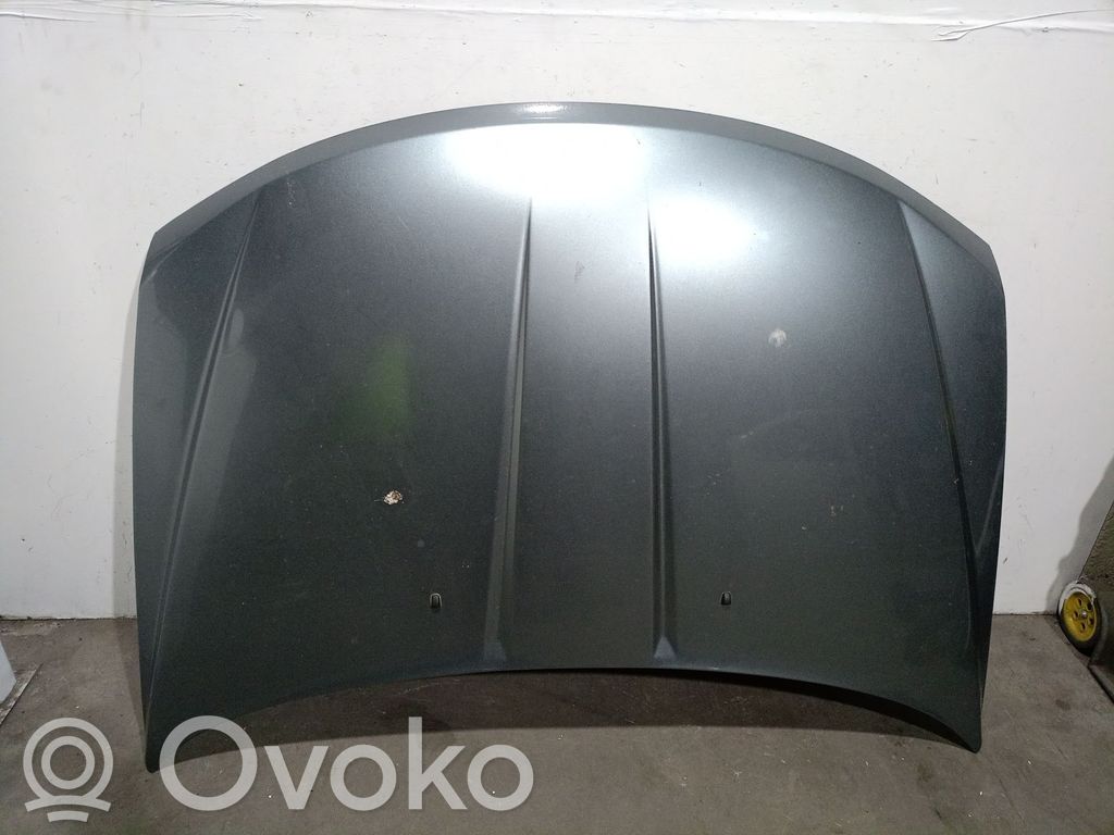 Dodge Journey Dzinēja pārsegs (vāks) 