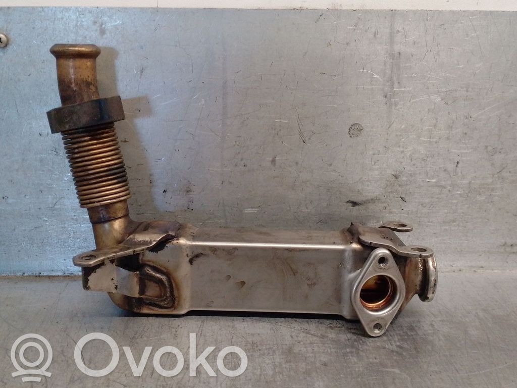BMW 3 E90 E91 EGR aušintuvas 