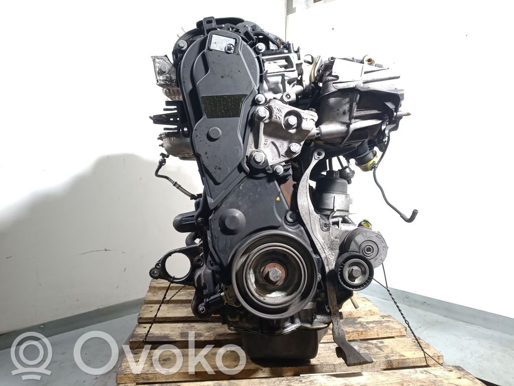 Motor   RH02,0135QP,10DYZE