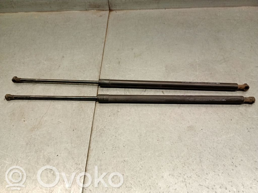 Renault Grand Modus Amortizor hayon