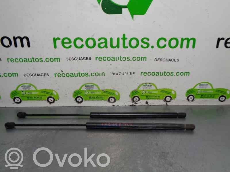 Rover Streetwise Bagāžnieka amortizators 