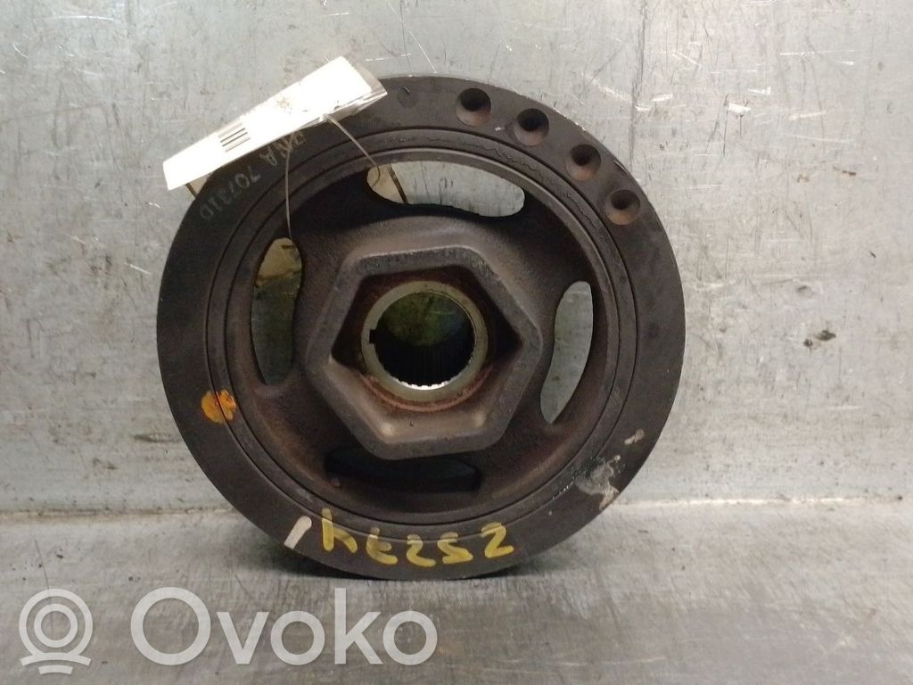 Fulie vibrochen   13810RNAA02,13810RNAA02