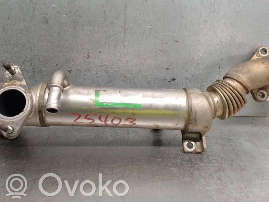 Honda CR-V Răcitor supapă EGR 