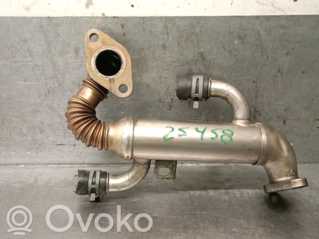 Skoda Fabia Mk2 (5J) Refroidisseur de vanne EGR