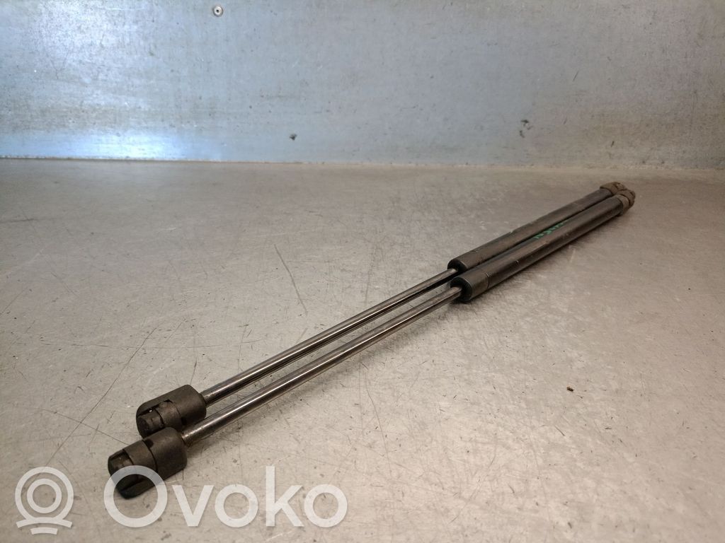 Audi Q7 4L Ammortizzatore portellone anteriore/cofano 