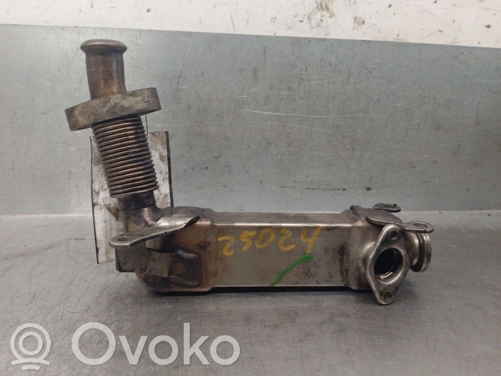 BMW 3 E46 Valvola di raffreddamento EGR 