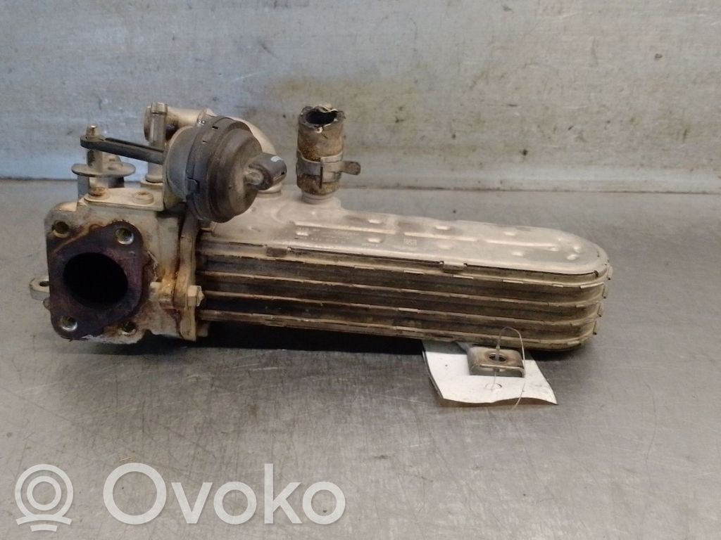 Chłodnica spalin EGR   03G131513K,68019951AA