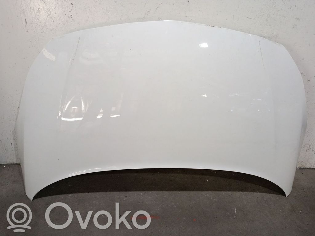 Couvercle, capot moteur   1160102,1160102