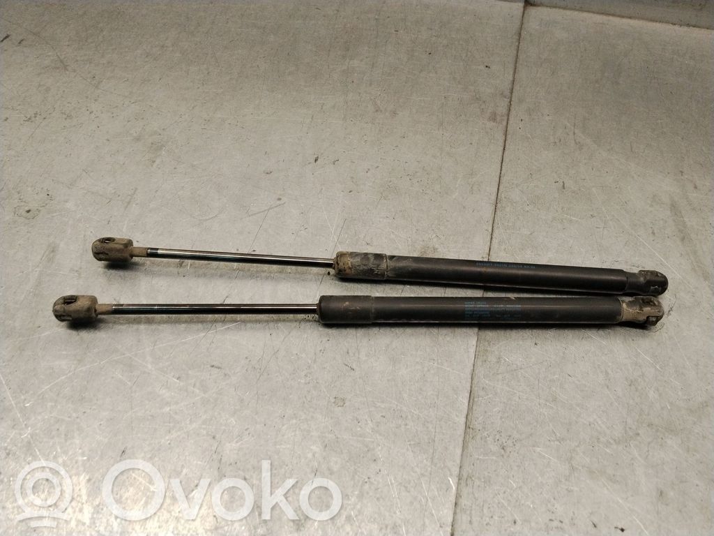 Skoda Roomster (5J) Amortizor hayon 