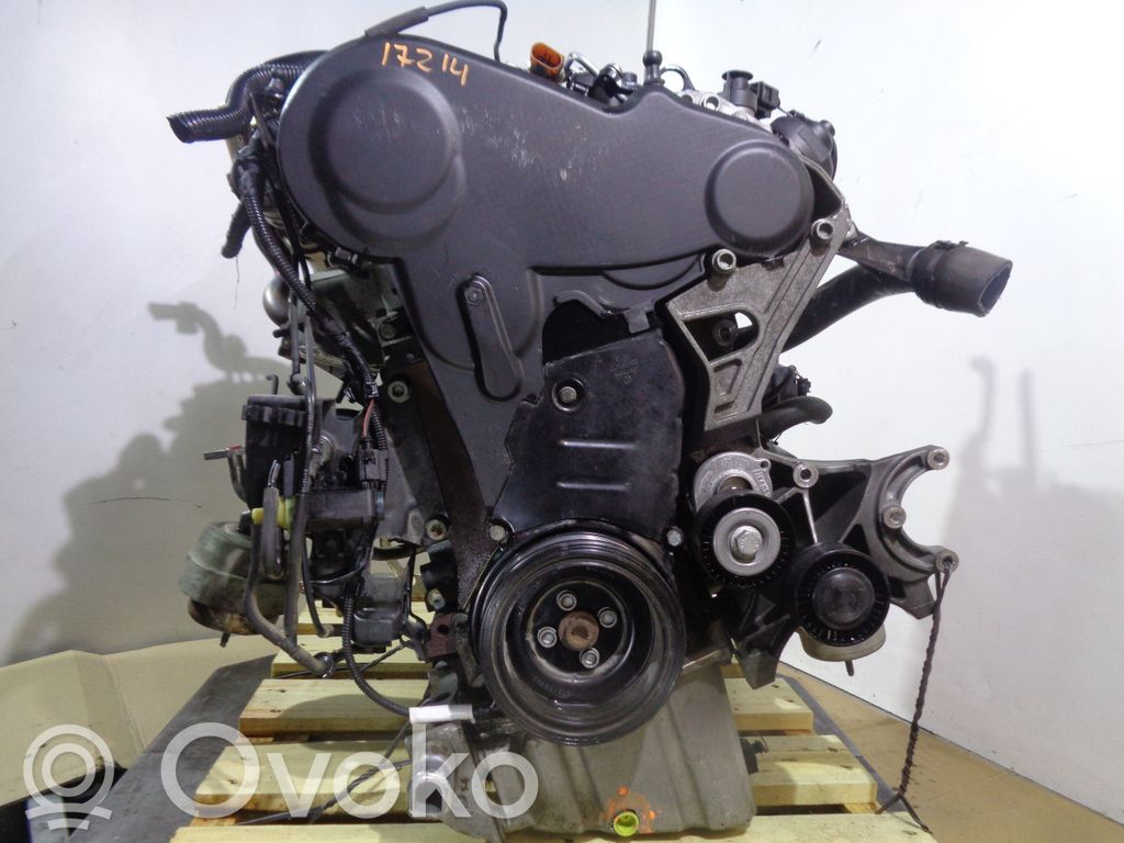 Motor   CAGC,03L100033Q,346615