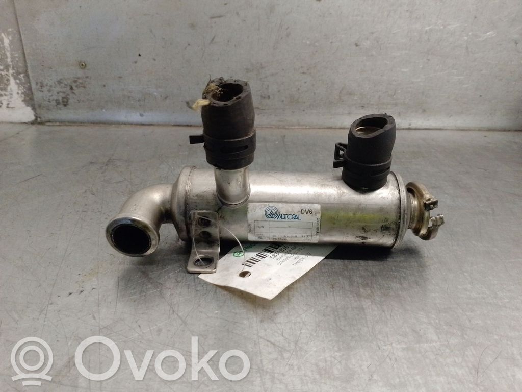 Citroen C5 Răcitor supapă EGR 