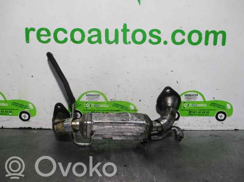 Seat Ibiza III (6L) Supapă EGR 