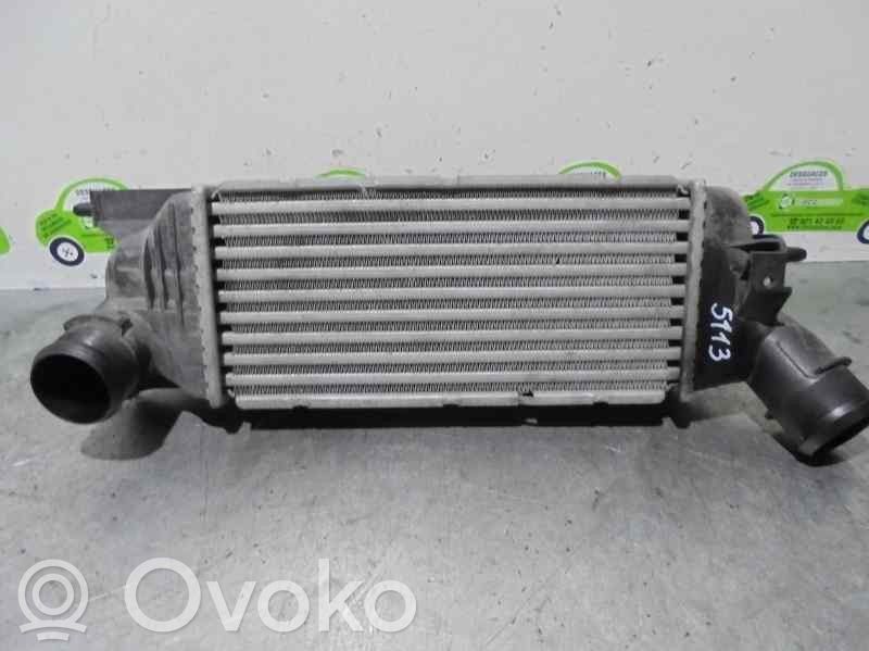 Peugeot 407 Interkūlerio radiatorius 
