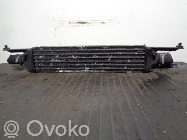 Fiat Linea Radiator intercooler 