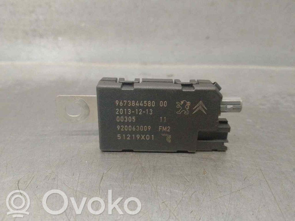Citroen DS5 Radioantenne