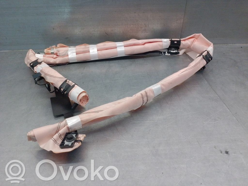 Ford Focus Front door airbag