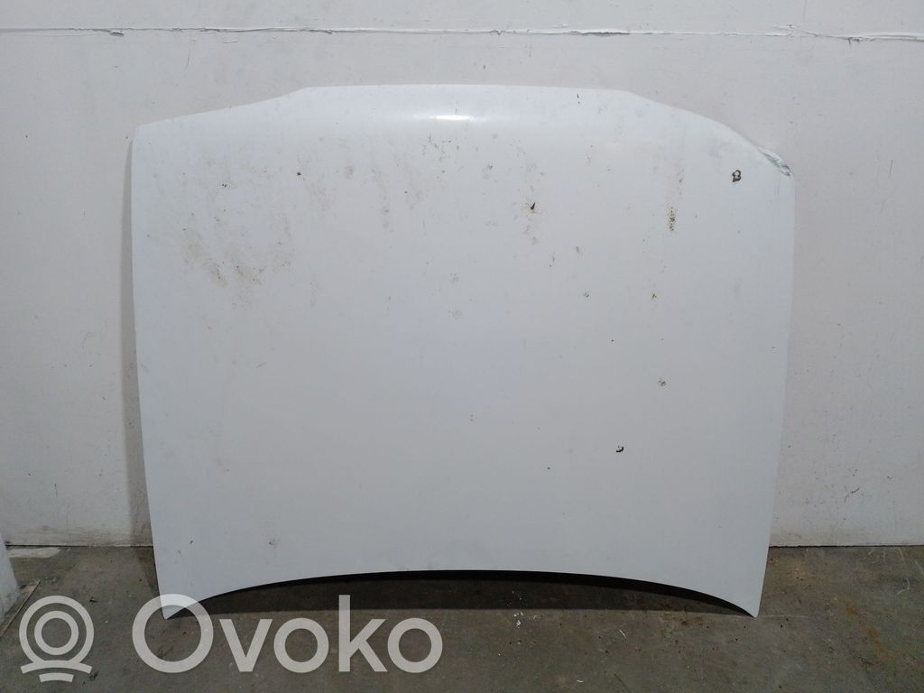 Renault 19 Motorhaube