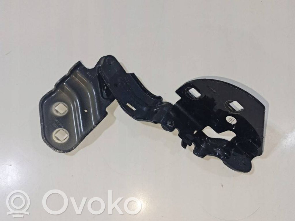 Tesla Model 3 Engine bonnet/hood hinges 