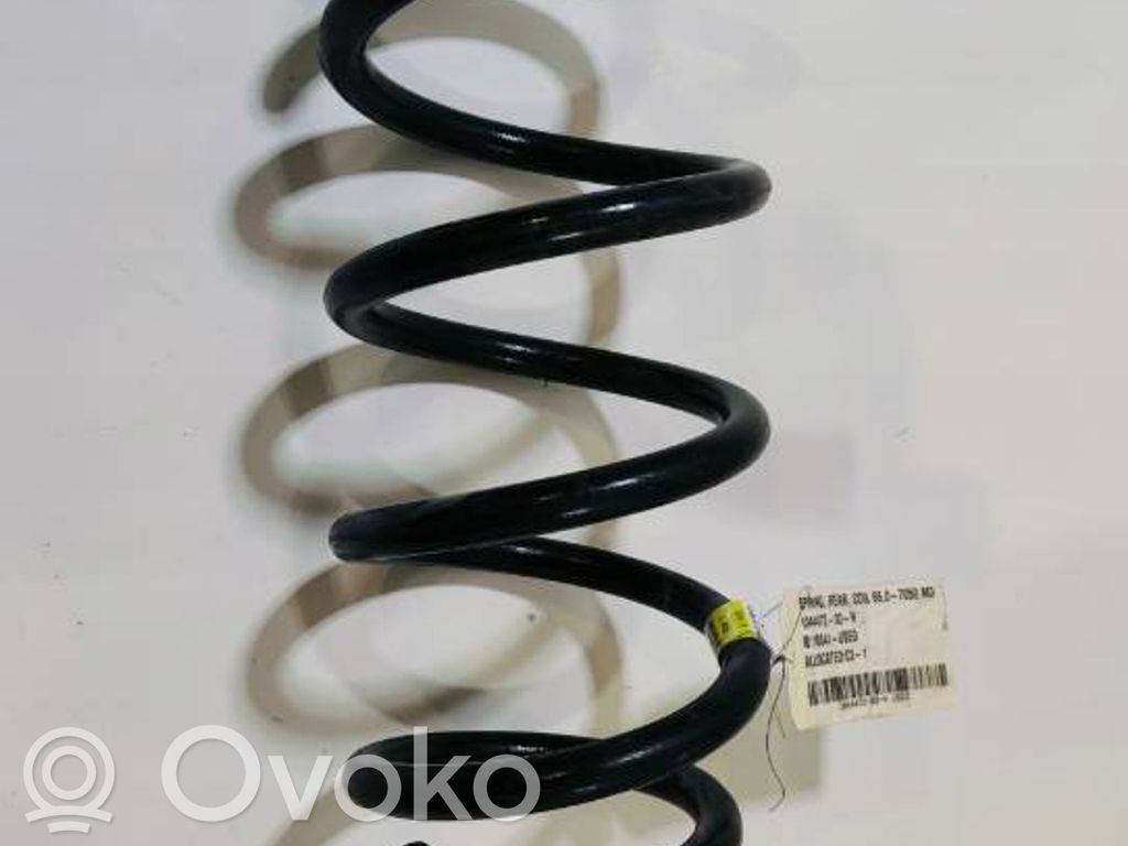 Tesla Model 3 Front coil spring 