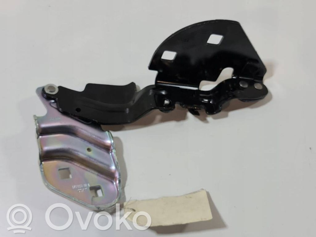 Tesla Model 3 Engine bonnet/hood hinges 
