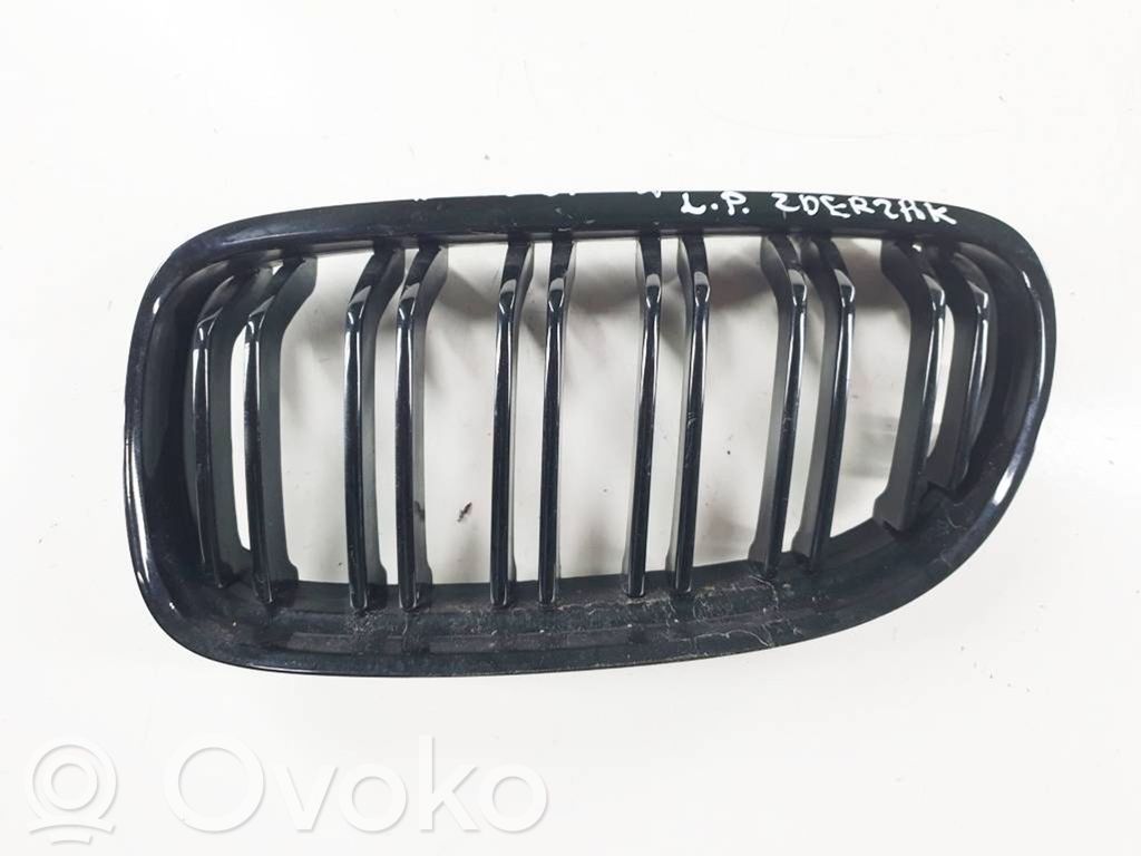Priekšējais režģis   BM07022