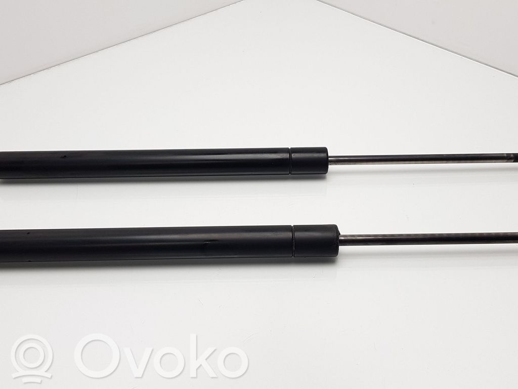 Tailgate/trunk strut/damper