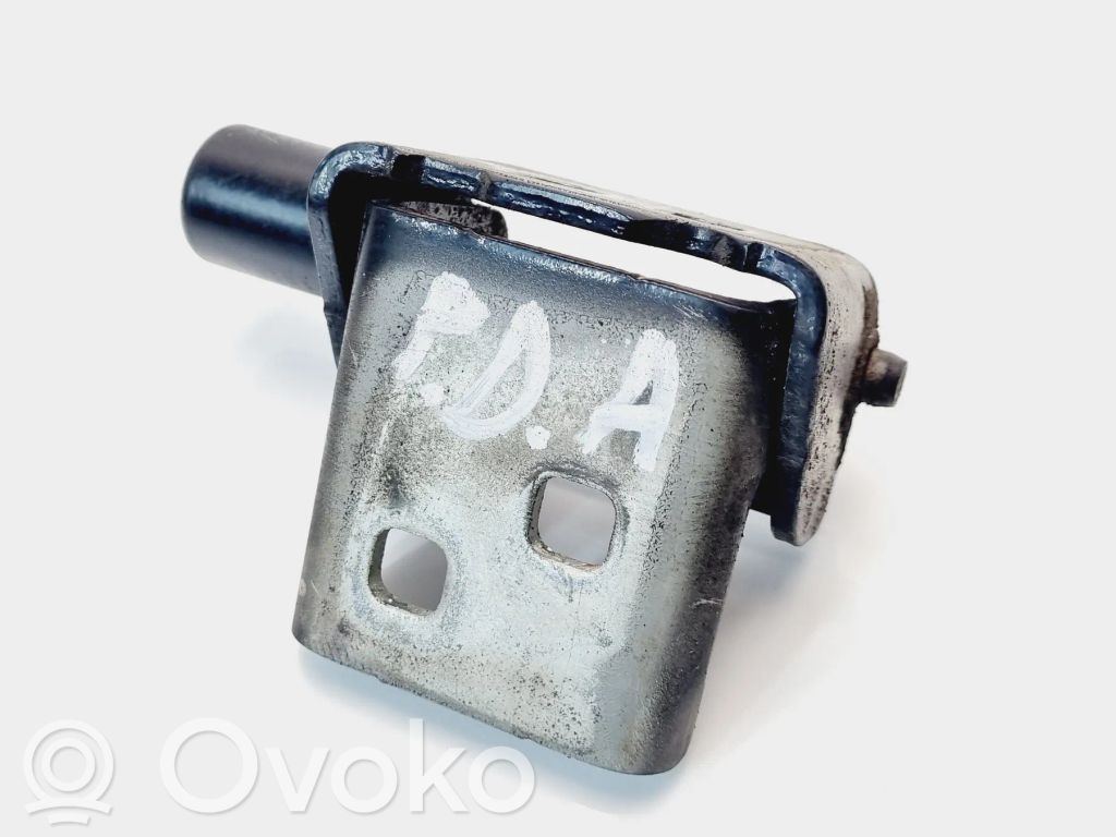 Renault Zoe Front door lower hinge 
